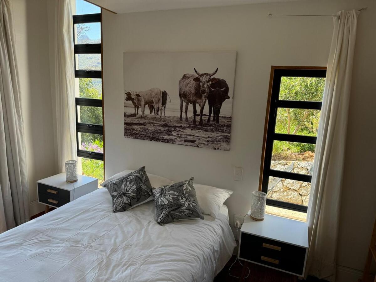 Mountain View * Cape Town